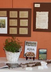 Bizeljski-ajdov-kolac-2024-11