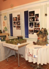 Bizeljsko dela jaslice 2018 (8)