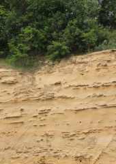 Čebelar-Bizeljsko-2020-12