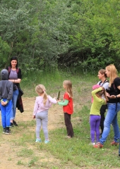 Čebelar-Bizeljsko-2020-8