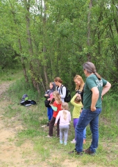 Čebelar-Bizeljsko-2020-9