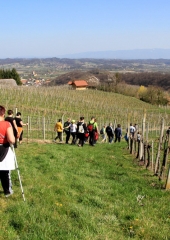 4.-pohod-od-podružnice-do-podružnice-2019-4