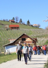 4.-pohod-od-podružnice-do-podružnice-2019-6