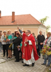Cvetna nedelja na Bizeljskem 2017 (15)