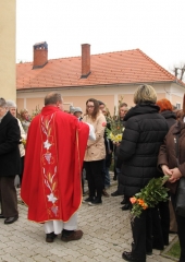 Cvetna nedelja 2018 (19)