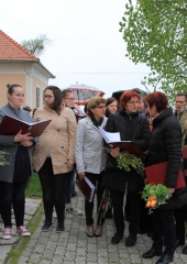 Cvetna-nedelja-Bizeljsko-2019-8
