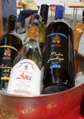 Dan kruha, vina in salam 2018 (41)