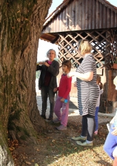 Dnevi evropske kulturne dediščine (17)