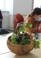 DEKD-2020-na-Bizeljskem-27