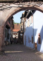 Ekskurzija posavskih članic društev kmetic v Strasbourg 2018 (132)