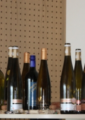 Ekskurzija posavskih članic društev kmetic v Strasbourg 2018 (60)