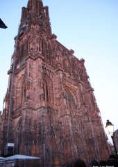 Ekskurzija posavskih članic društev kmetic v Strasbourg 2018 (67)