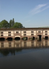 Ekskurzija posavskih članic društev kmetic v Strasbourg 2018 (81)