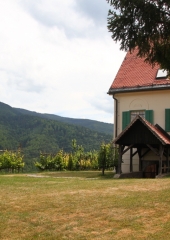 Ekskurzija-Drustva-vinogradnikov-2021-102