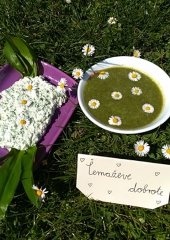 festival-zdravja-OŠ-Bizeljsko-2020-1