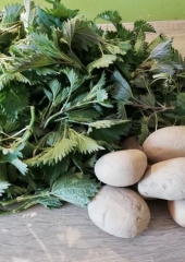 festival-zdravja-OŠ-Bizeljsko-2020-2