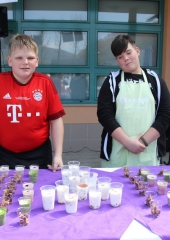 Festival zdravja Bizeljsko 2018 (1)