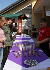 Festival zdravja Bizeljsko 2018 (2)