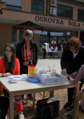 Festival zdravja Bizeljsko 2018 (6)