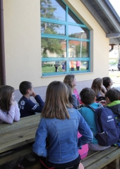 Festival zdravja Bizeljsko 2018 (8)