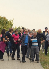 Pohod po Grajski poti 2016 (13)