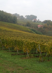 Pohod po Grajski poti 2016 (14)