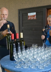 Pohod po Grajski poti 2016 (2)