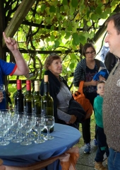 Pohod po Grajski poti 2016 (31)