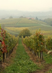 Pohod po Grajski poti 2016 (35)