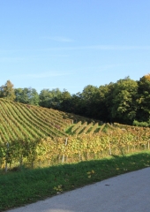 Grajski-pohod-po-Bizeljskem-2019-19