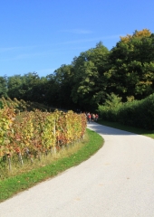 Grajski-pohod-po-Bizeljskem-2019-20