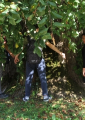 Grajski-pohod-po-Bizeljskem-2019-44