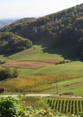 Grajski-pohod-po-Bizeljskem-2019-51