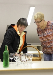 Izbor tretje vinske kraljice Bizeljskega (3)