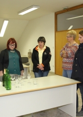 Izbor tretje vinske kraljice Bizeljskega (8)