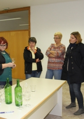 Izbor tretje vinske kraljice Bizeljskega (9)