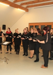 Javna-vaja-skupine-Venus-Bizeljsko-2020-36