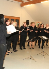 Javna-vaja-skupine-Venus-Bizeljsko-2020-40