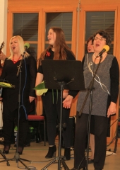 Javna-vaja-skupine-Venus-Bizeljsko-2020-77