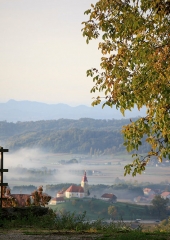 Jesen-med-vinogradi-Bizeljsko-2020-1