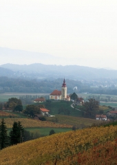 Jesen-med-vinogradi-Bizeljsko-2020-49