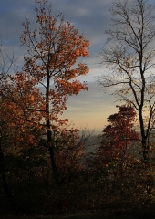 Jesen-med-vinogradi-Bizeljsko-2020-70