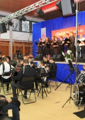 Karitas koncert Bizeljsko 2018 (9)