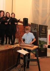 Četrti-letni-koncert-ŽePZ-Mravljice-Bizeljsko-2019-27