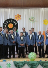 Koncert Slovenc vabi (10)