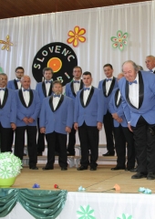 Koncert Slovenc vabi (15)