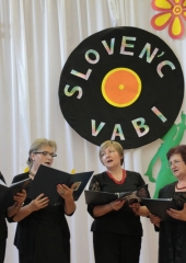 Koncert Slovenc vabi (20)