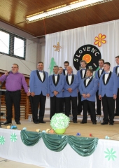 Koncert Slovenc vabi (8)