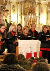 Koncert ŽePZ Mravljice Bizeljsko 2017 (14)