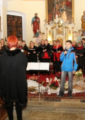 Koncert ŽePZ Mravljice Bizeljsko 2017 (40)